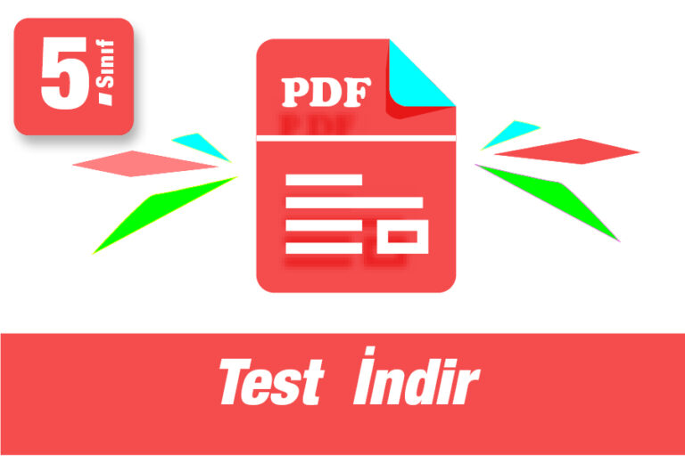 5.Sınıf Gerçek Yaşam Problemleri Testi İndir