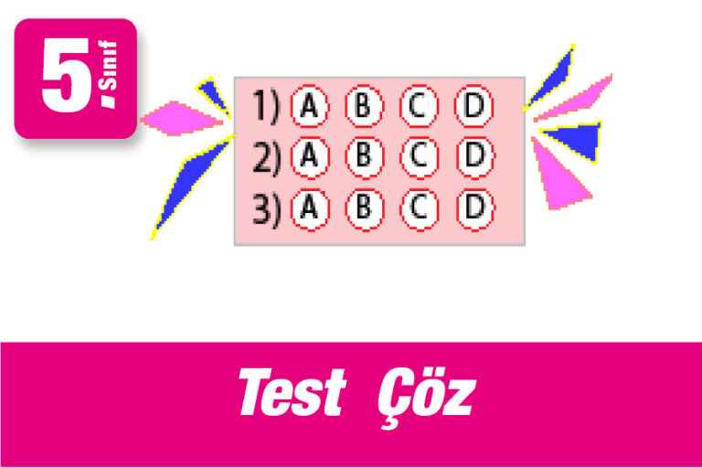 5.Sınıf Doğal Sayı Problemleri Testi Çöz
